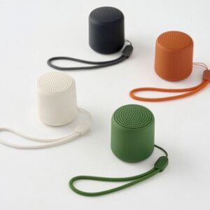 Mini Bluetooth Speaker